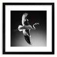 Framed wall art featuring a vibrant flamingo design on a black background, showcasing intricate details and a modern aesthetic, perfect for home decor.