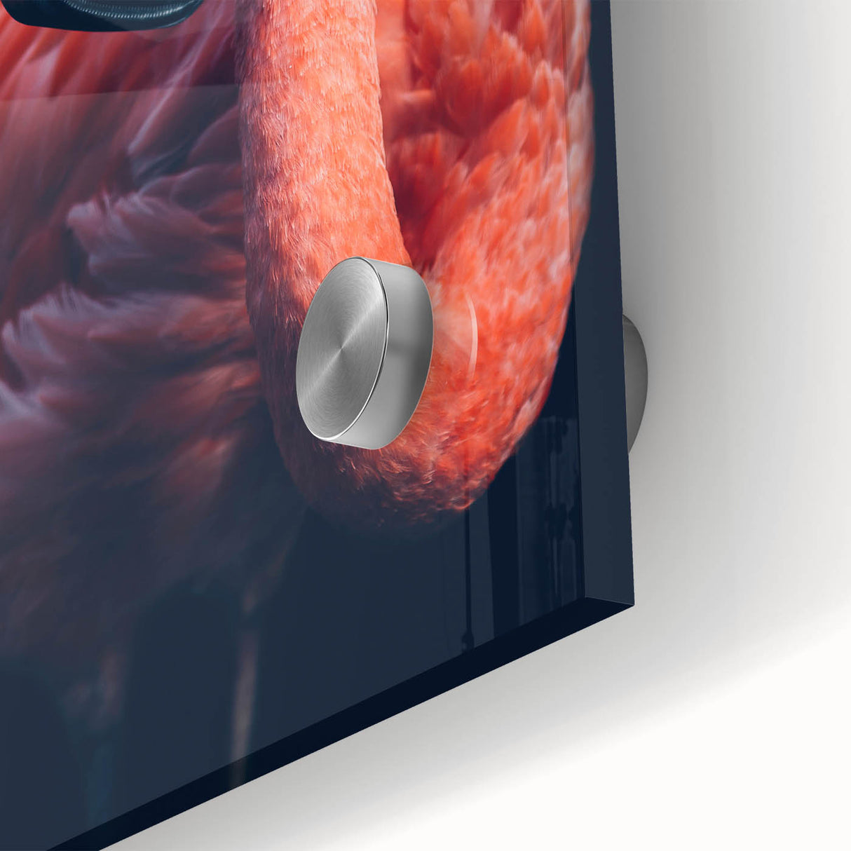 Close-up of a vibrant flamingo wall art design showcased on acrylic glass, featuring vivid colors and intricate details, perfect for modern home decor.