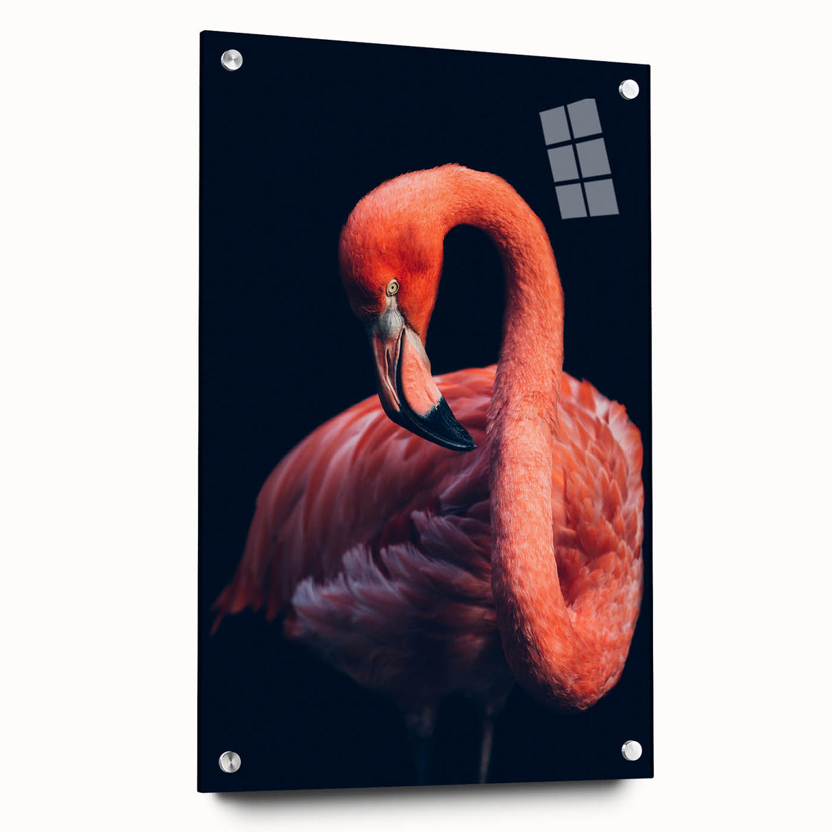 Flamingo-themed wall art design displayed in a sleek acrylic glass frame, featuring vibrant pink and orange colors, ideal for modern decor. Perfect for bird lovers.