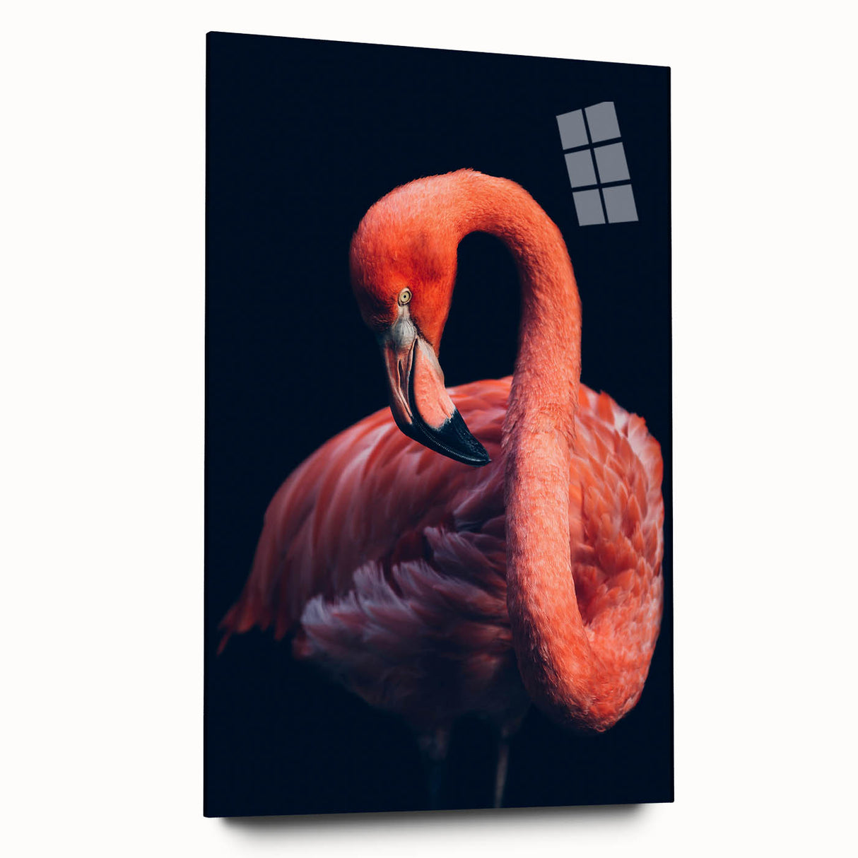 Colorful flamingo-themed wall art collection displayed in a sleek acrylic glass frame, showcasing vibrant pink and blue hues with a modern side view design.