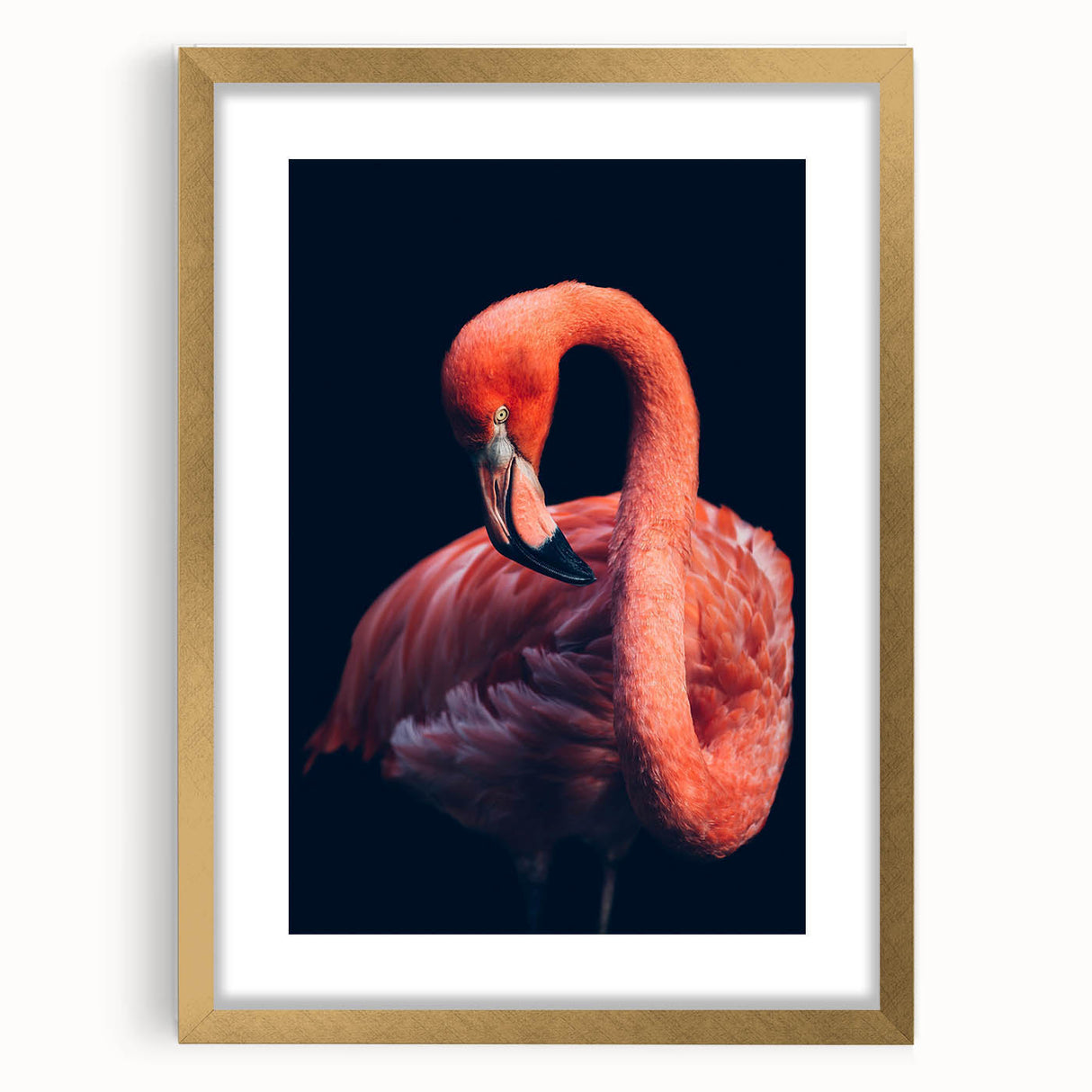 Flamingo-themed wall art collection framed in gold with a mat, showcasing vibrant pink flamingos against a neutral background, ideal for modern home decor.