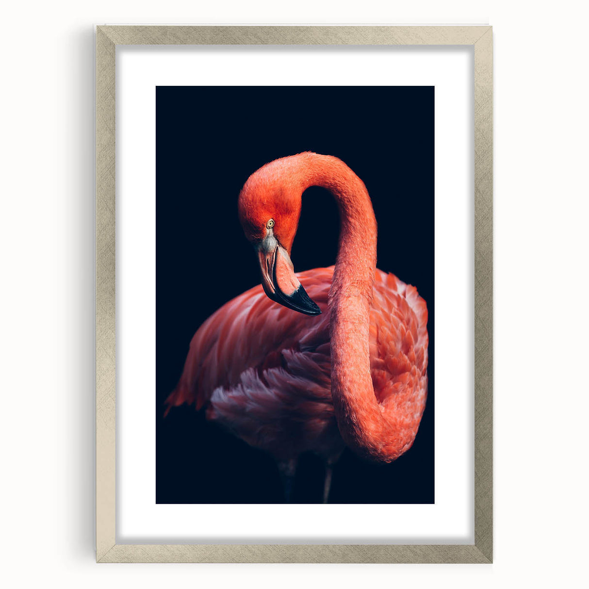 Framed wall art featuring a vibrant flamingo design, enclosed in a silver frame with a mat. Ideal for enhancing modern decor with a tropical touch.