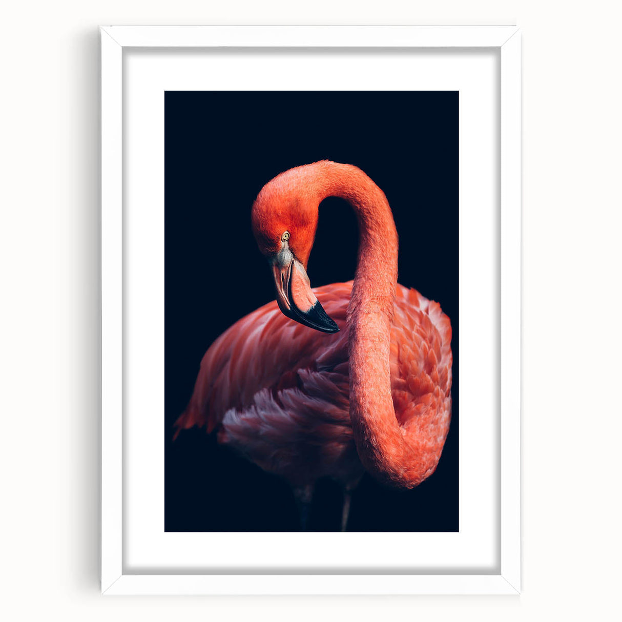 Framed wall art featuring a vibrant flamingo design, showcasing a pink flamingo against a white background, ideal for adding a tropical touch to home decor. The artwork comes with a mat for an elegant display, making it perfect for living rooms or bedrooms.