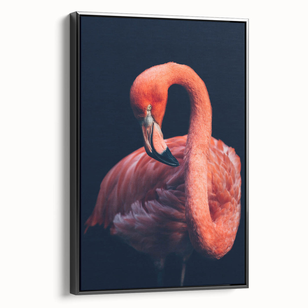 Framed canvas wall art featuring a vibrant flamingo design, elegantly presented with a black frame, showcasing colorful tropical motifs ideal for home decor.