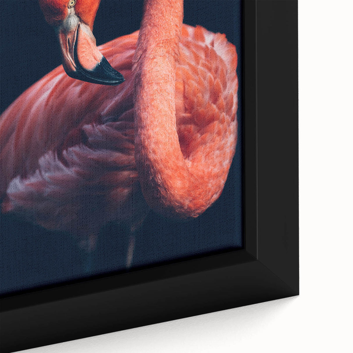 Framed close-up of vibrant flamingo-themed wall art design, showcasing intricate details and bold colors on canvas, perfect for home decor enthusiasts.