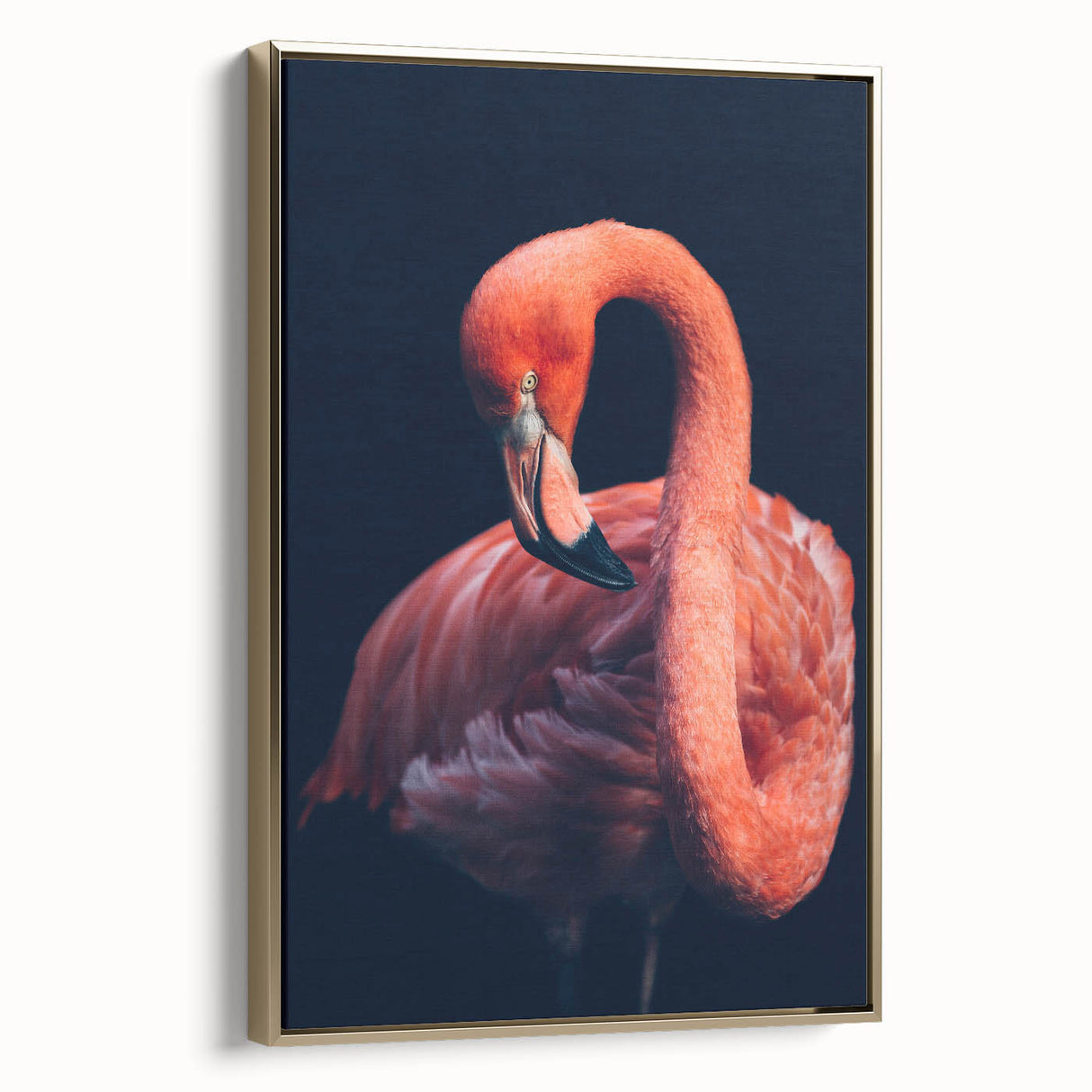 Framed canvas wall art showcasing a vibrant flamingo design with gold accents, perfect for adding a touch of elegance to modern home decor.