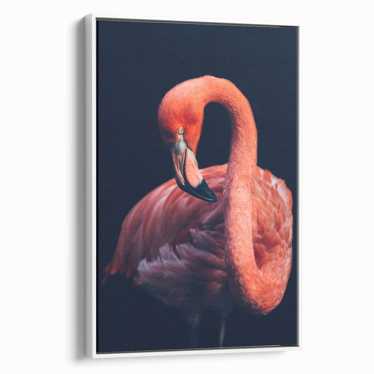 Framed wall art featuring a vibrant flamingo design on a white canvas, displayed in a stylish side view, perfect for modern home decor.