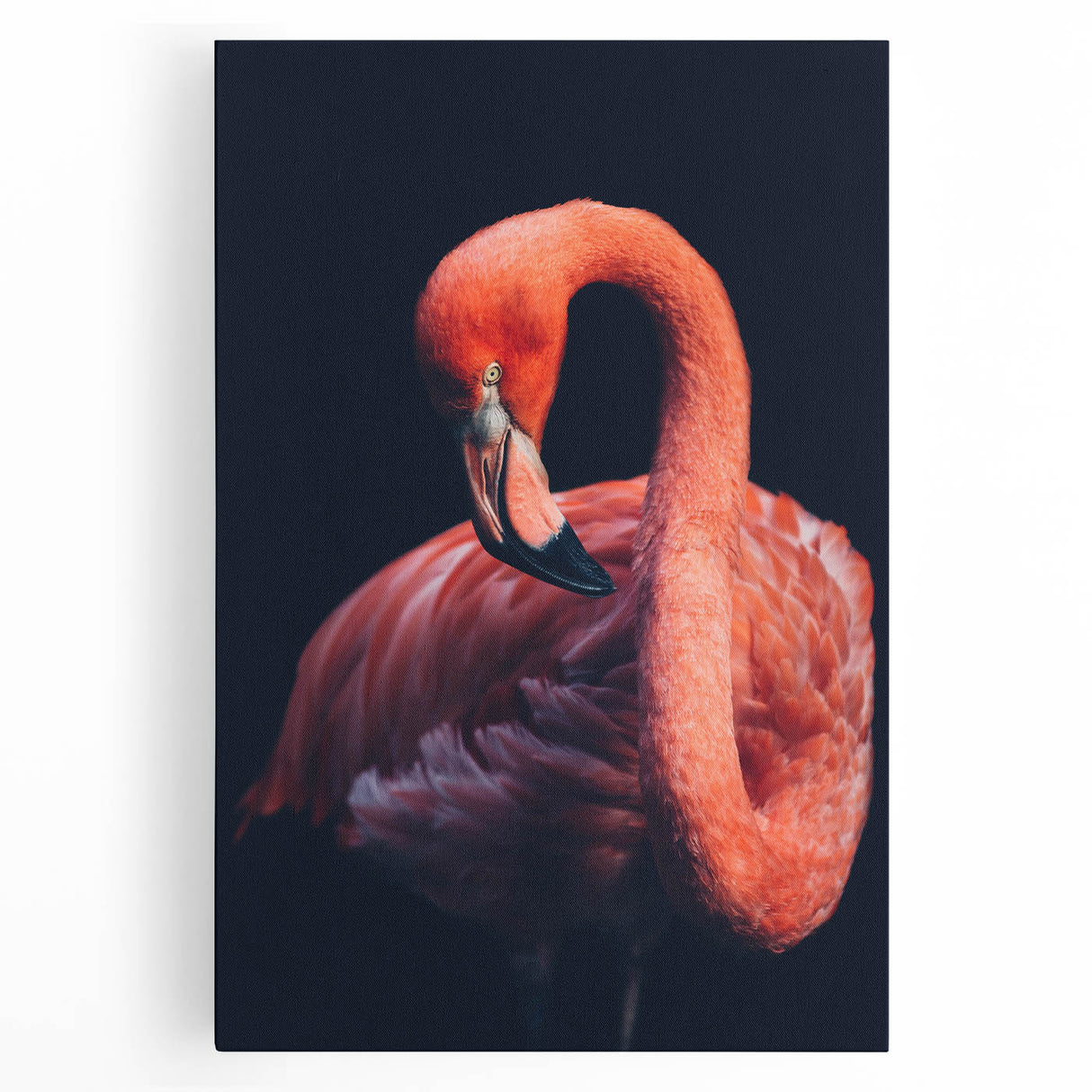 Vibrant flamingo design stretched canvas wall art showcasing pink flamingos in a tropical setting, perfect for enhancing modern home decor aesthetics.