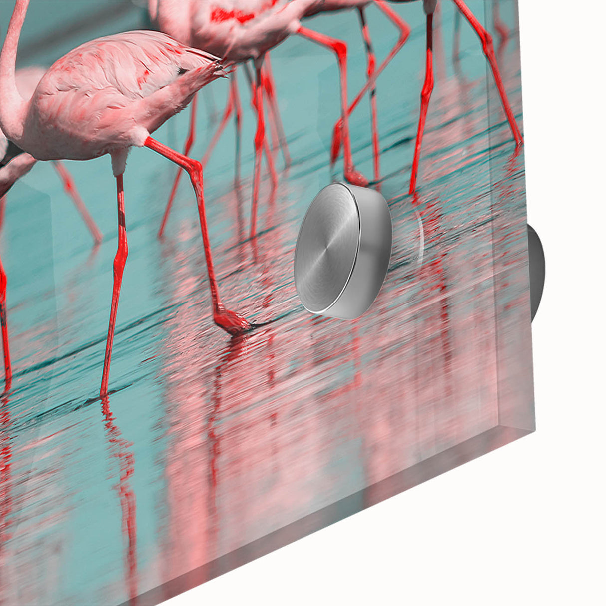 Close-up of a vibrant flamingo wall art design, featuring intricate details and bright colors on acrylic glass, perfect for modern decor and bird enthusiasts.