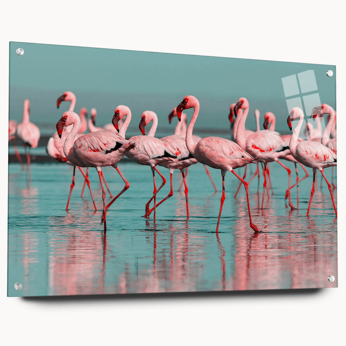 Acrylic glass wall art featuring a vibrant flamingo design, showcasing bold pink and green colors. The artwork is presented from a side view, highlighting pins for easy hanging. Perfect for adding a tropical touch to home decor.