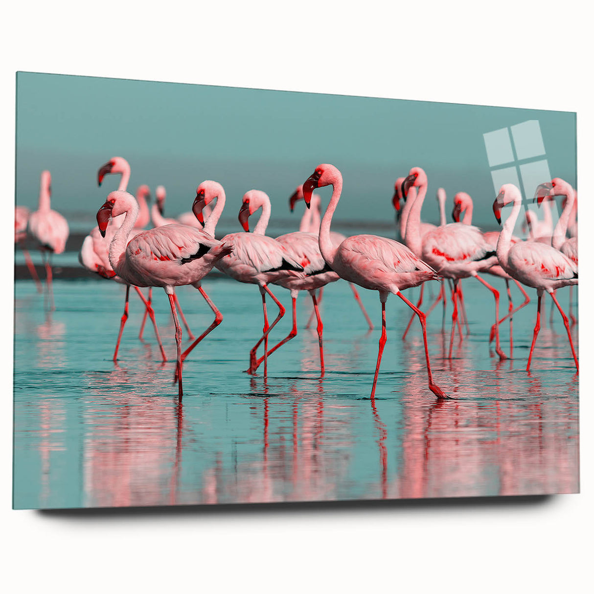 Elegant acrylic wall art featuring a vibrant flamingo design, showcasing detailed colors and textures, ideal for modern decor. Side view displays its sleek glass finish, perfect for enhancing home aesthetics.