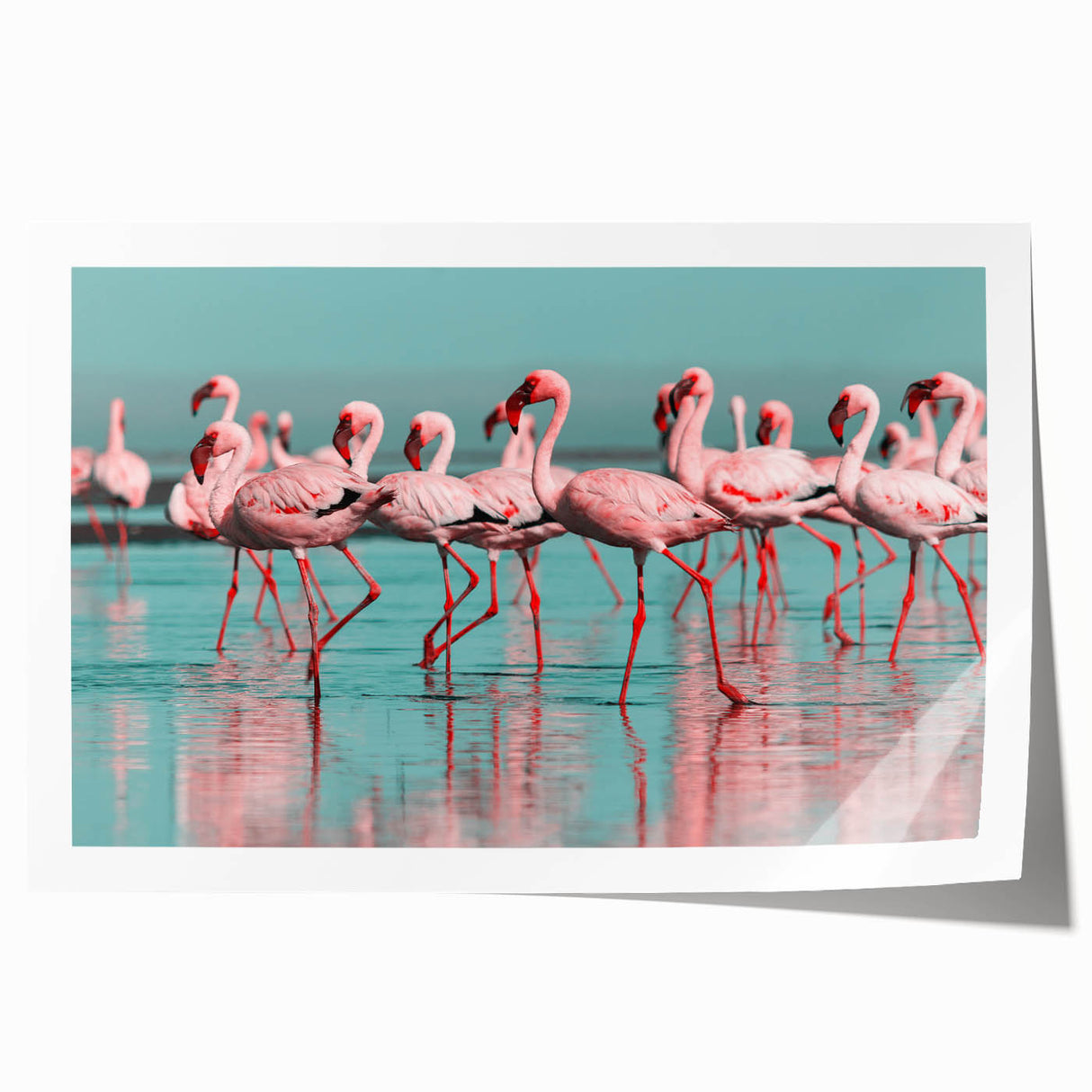 Flamingo-themed wall art print showcasing vibrant pink flamingos amidst tropical foliage, perfect for enhancing modern decor. Rolled and ready for framing.