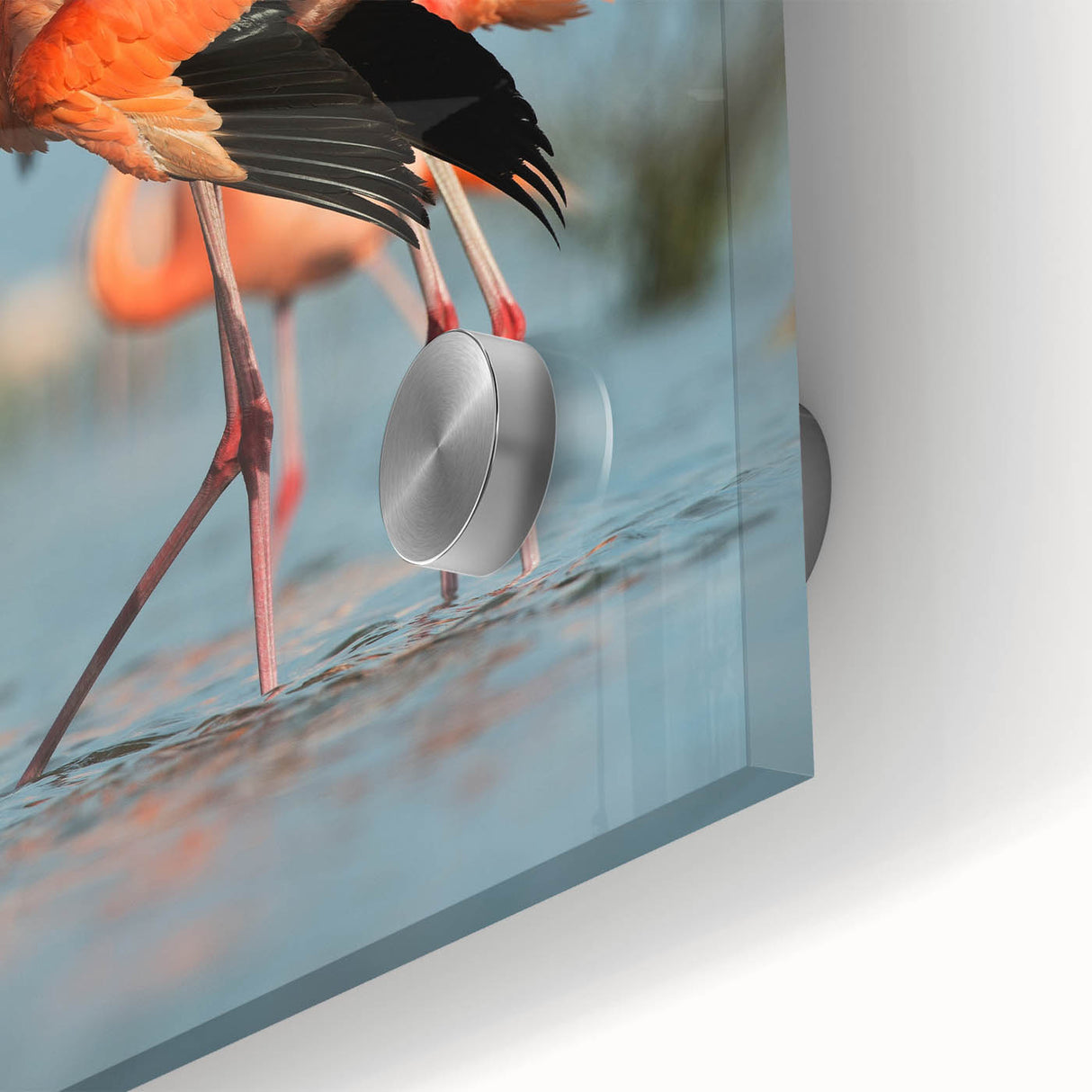 Close-up of stunning acrylic glass wall art featuring a vibrant flamingo design, showcasing intricate details and vivid colors, perfect for modern decor.