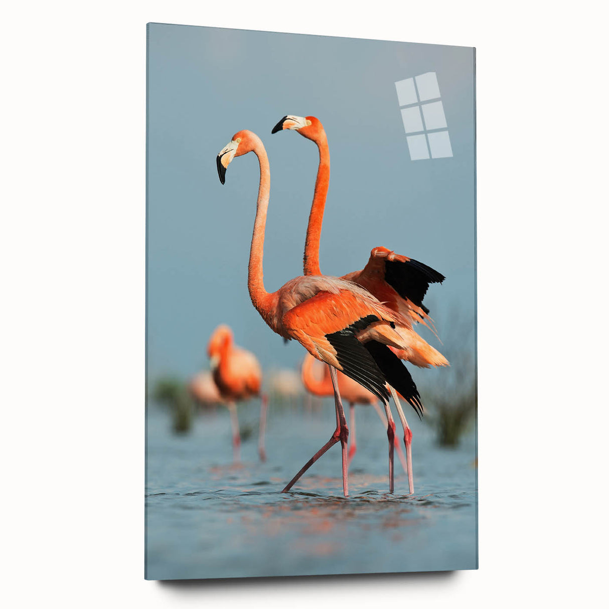 Elegant flamingo wall art collection displayed in an acrylic glass frame, showcasing vibrant pink hues and intricate design details, perfect for modern decor.