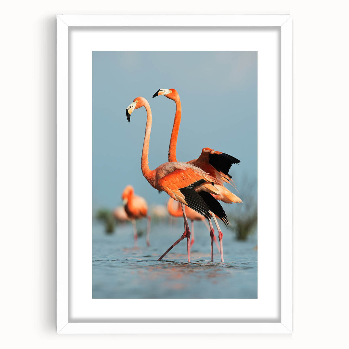 Framed wall art featuring a vibrant flamingo design in a white mat, showcasing tropical colors and elegant style, perfect for home decor or art collection.