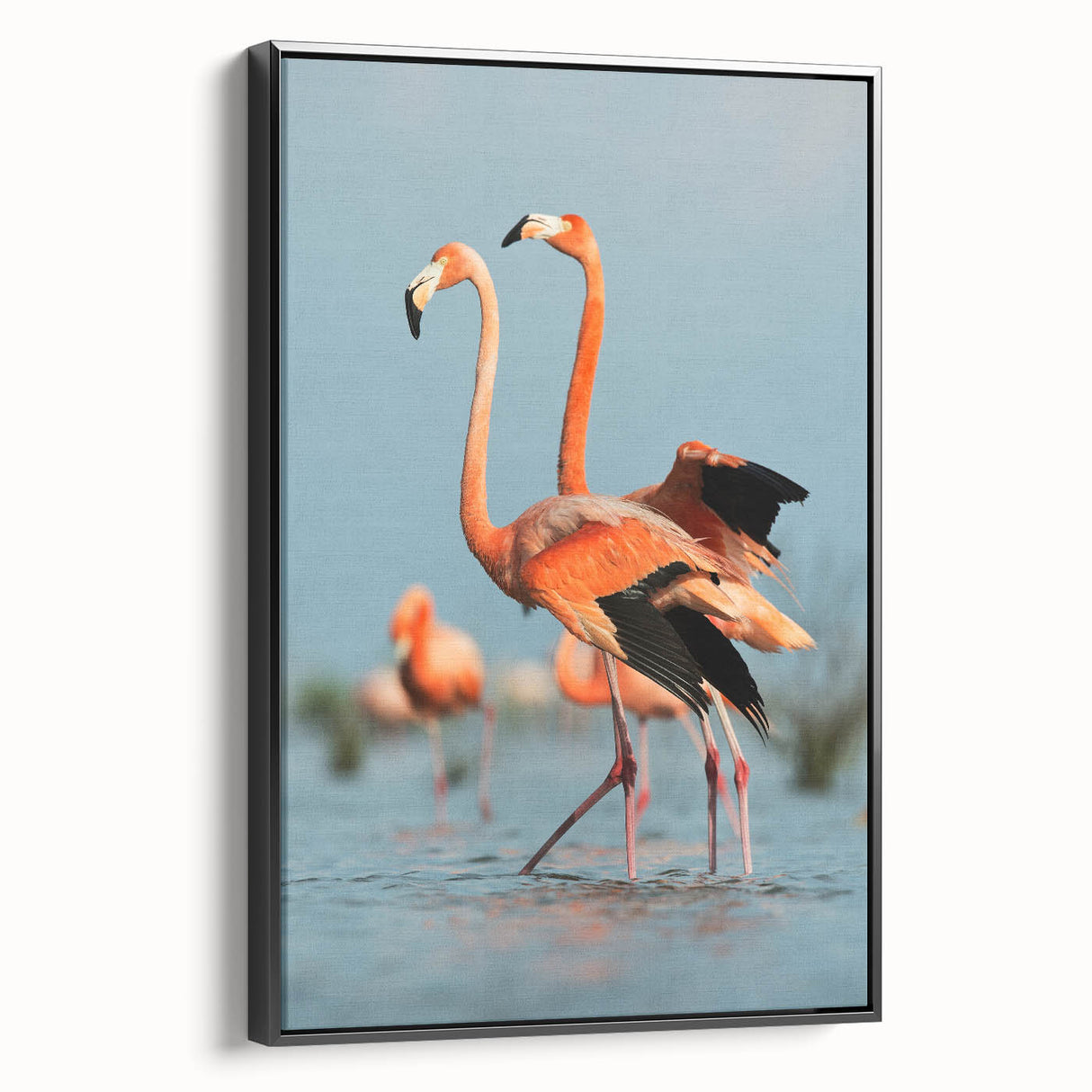 Framed canvas wall art featuring a vibrant flamingo design, showcased in a sleek black frame, perfect for adding a touch of elegance to any room's decor.