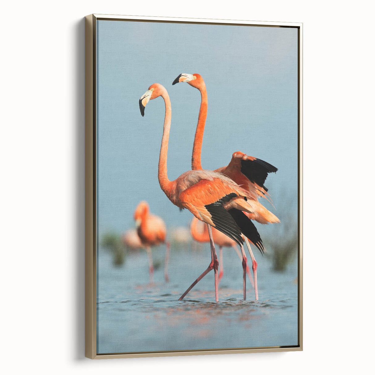Framed canvas wall art featuring an elegant flamingo design with a gold border, showcasing vibrant colors and intricate details, perfect for modern decor.