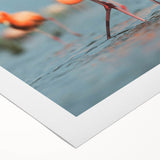 Vibrant rolled canvas wall art showcasing a flamingo design in pink and green hues, ideal for enhancing modern home decor, packaged securely in a cardboard tube.