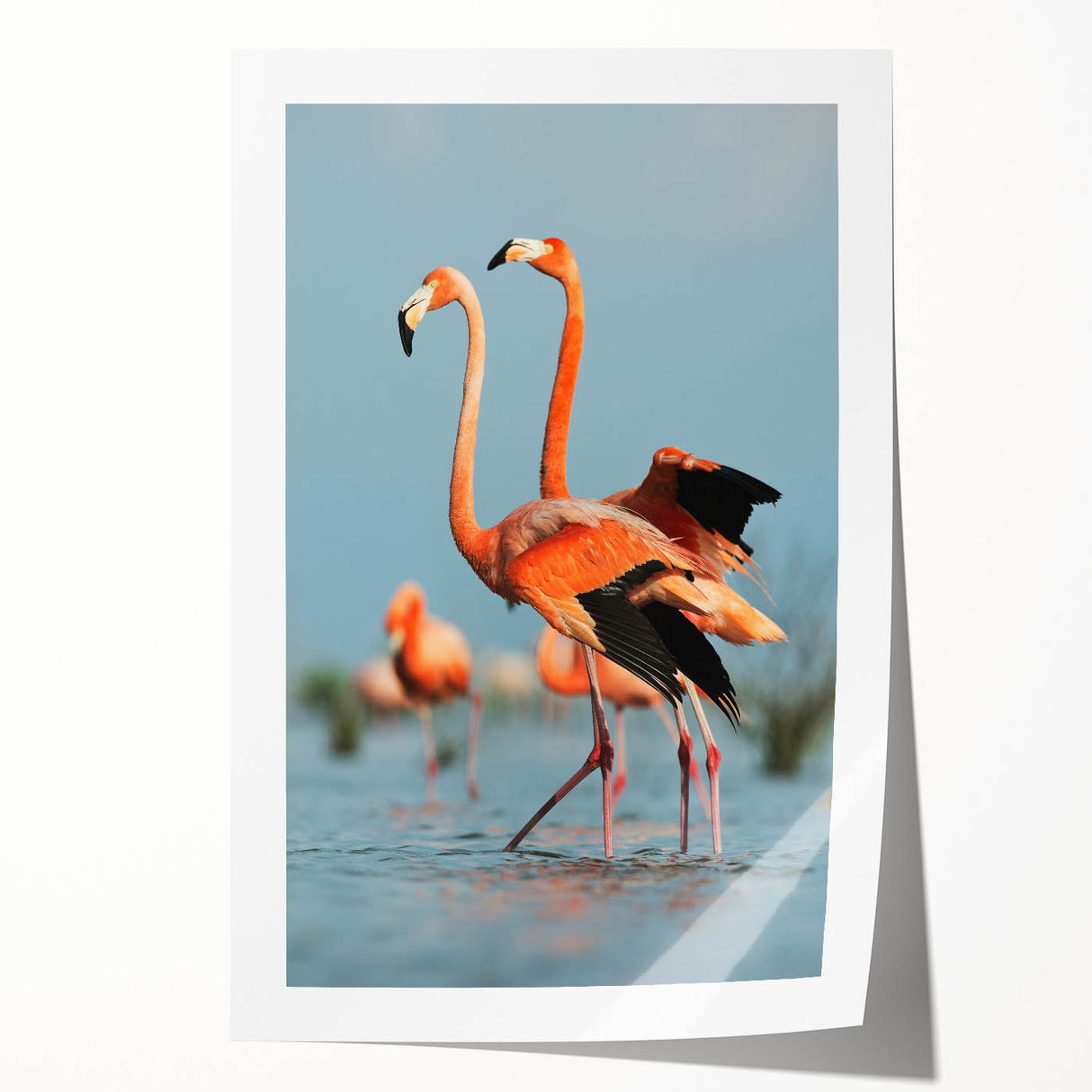 Flamingo-themed wall art print showcasing vibrant pink and green colors, rolled and ready for framing, perfect for adding tropical decor to any space.