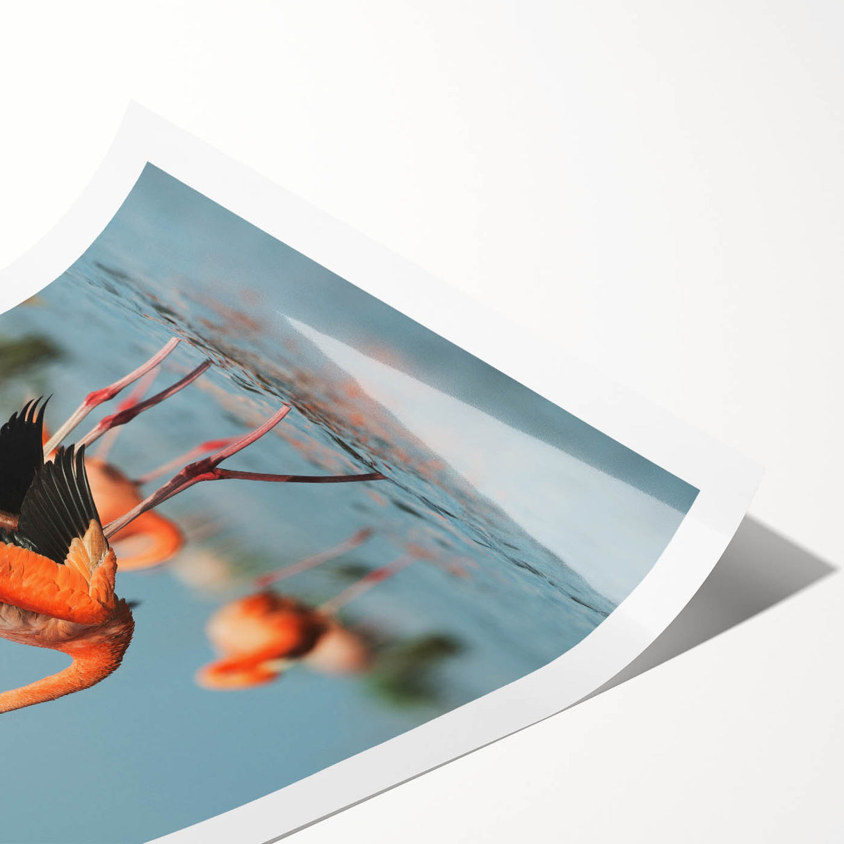 Vibrant flamingo wall art rolled print showcasing a colorful tropical design, featuring pink and green hues, ideal for home decor and enhancing living spaces.