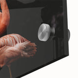 Close-up of a vibrant flamingo wall art design printed on acrylic glass, showcasing intricate details and vivid colors, perfect for tropical-themed decor.