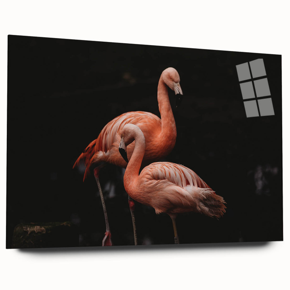 Vibrant flamingo-themed wall art collection displayed in a sleek acrylic glass frame, showcasing a side view design that enhances any modern decor. Perfect for bird lovers and home decorators alike.