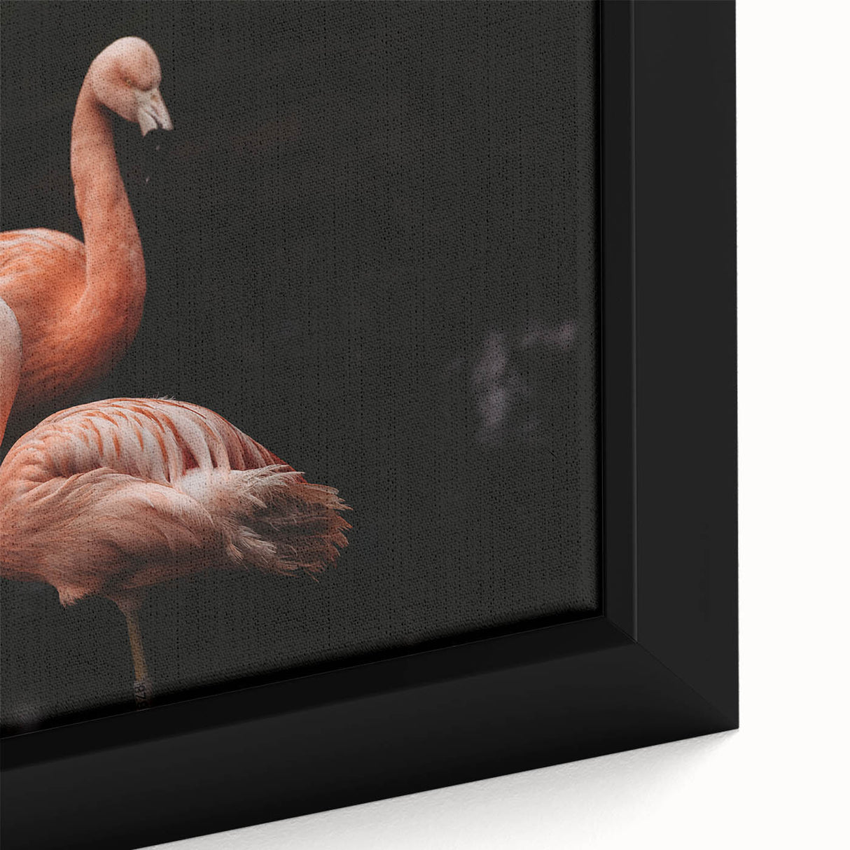 Close-up of a framed canvas featuring a vibrant flamingo design, showcasing intricate details and bold colors, perfect for enhancing modern home decor aesthetics.