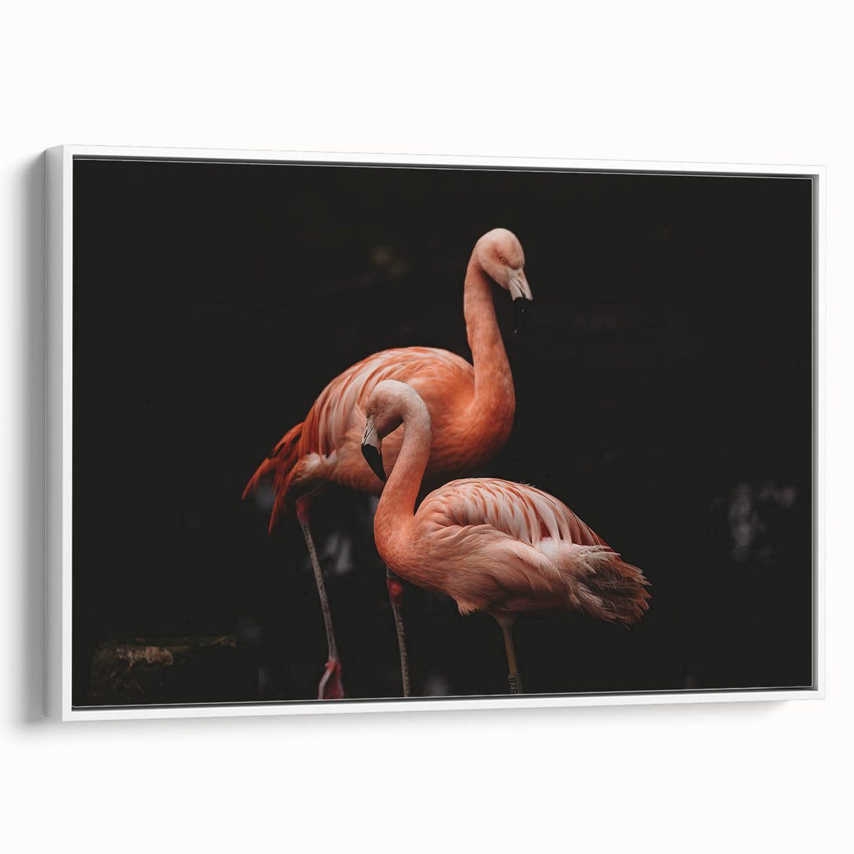 Framed wall art featuring a vibrant flamingo design on canvas, showcasing a modern aesthetic in a white frame, ideal for stylish home decor.