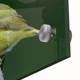 Close-up of vibrant acrylic glass wall art showcasing a colorful garden birds design, highlighting intricate details and textures, perfect for home decor.