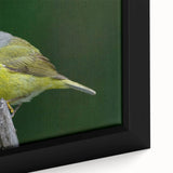 Close-up of a framed canvas wall art featuring a vibrant garden scene with colorful birds, showcasing intricate details and textures, perfect for home decor.