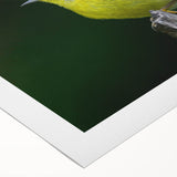 Rolled canvas artwork showcasing a vibrant garden scene with colorful birds perched among lush greenery, perfect for home decor. Packaged securely in a cardboard tube.