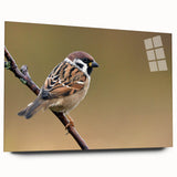 Acrylic glass wall art showcasing a vibrant garden birds design, featuring colorful birds perched among lush greenery, ideal for home decoration.