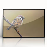 Framed wall art featuring a vibrant collection of garden birds, with a sleek black frame and acrylic front, displayed prominently for home decor enhancement.