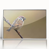 Framed wall art featuring a vibrant garden birds design in acrylic, showcasing colorful avian illustrations against a white background, ideal for home decor.