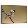 Framed wall art collection showcasing a vibrant garden bird design on canvas. The artwork features various colorful birds in a natural setting, displayed in a sleek black frame, adding a touch of elegance to home decor.