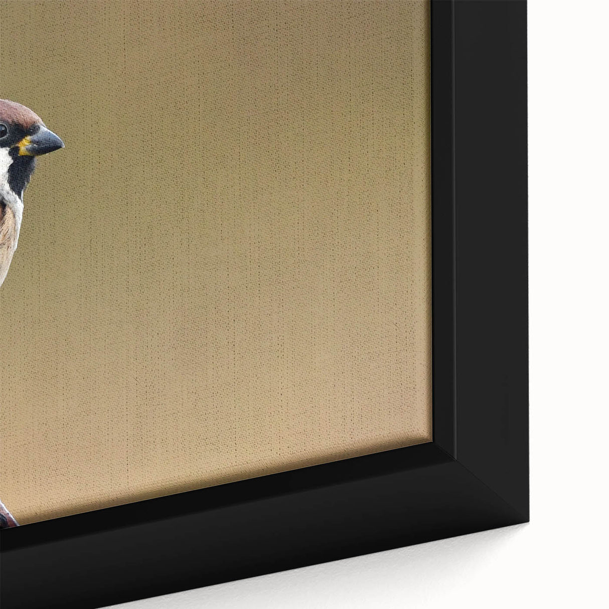 Framed wall art showcasing a vibrant garden birds design, featuring detailed illustrations of various bird species in colorful hues against a soft background, perfect for nature-themed decor.