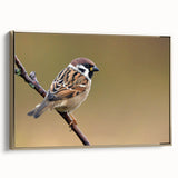 Framed canvas wall art showcasing a vibrant garden bird design, featuring gold accents and a sleek profile, perfect for adding elegance to any home decor.