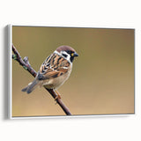 Framed wall art featuring a vibrant garden bird design on a canvas, showcasing colorful birds perched among lush greenery, ideal for home decor.