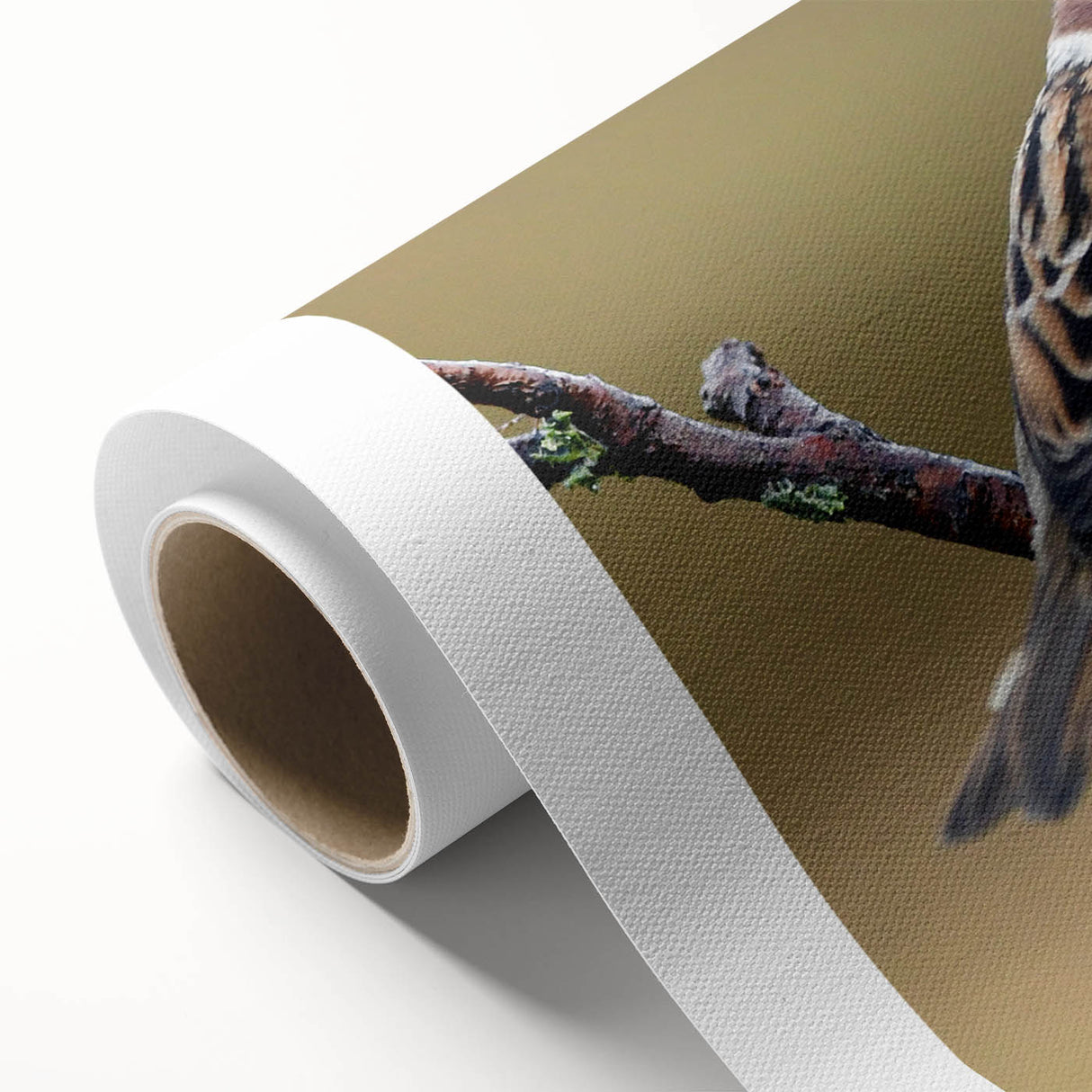 Vibrant rolled canvas wall art featuring a colorful garden birds design, showcasing intricate details and lively colors, perfect for nature lovers' decor.