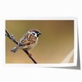 Colorful garden birds wall art print showcasing vibrant avian designs on a textured background, rolled for easy shipping and display, perfect for nature-inspired decor.