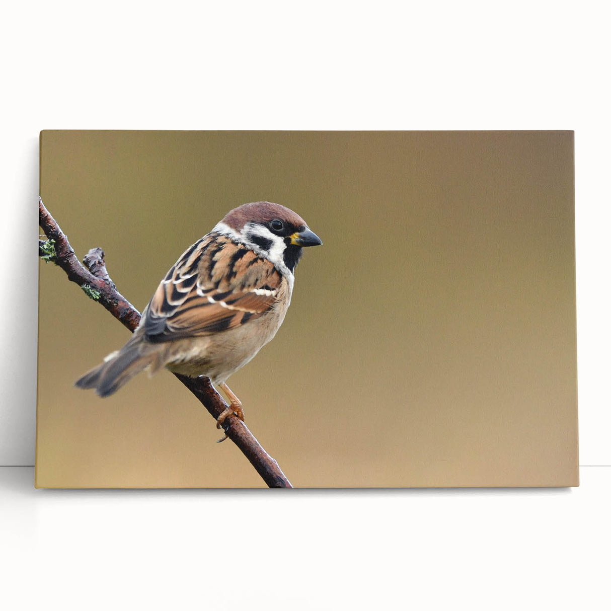 Colorful canvas wall art depicting various garden birds perched among vibrant foliage, designed to enhance home decor with a touch of nature's beauty. Perfect for bird lovers.