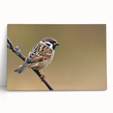 Colorful canvas wall art depicting various garden birds perched among vibrant foliage, designed to enhance home decor with a touch of nature's beauty. Perfect for bird lovers.