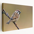 Stretched canvas wall art showcasing a vibrant garden birds design, featuring colorful feathers and intricate details, ideal for enhancing home decor.