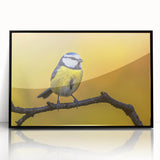 Framed wall art featuring a vibrant design of colorful garden birds, showcasing intricate details and textures against a sleek black frame, perfect for home decor.