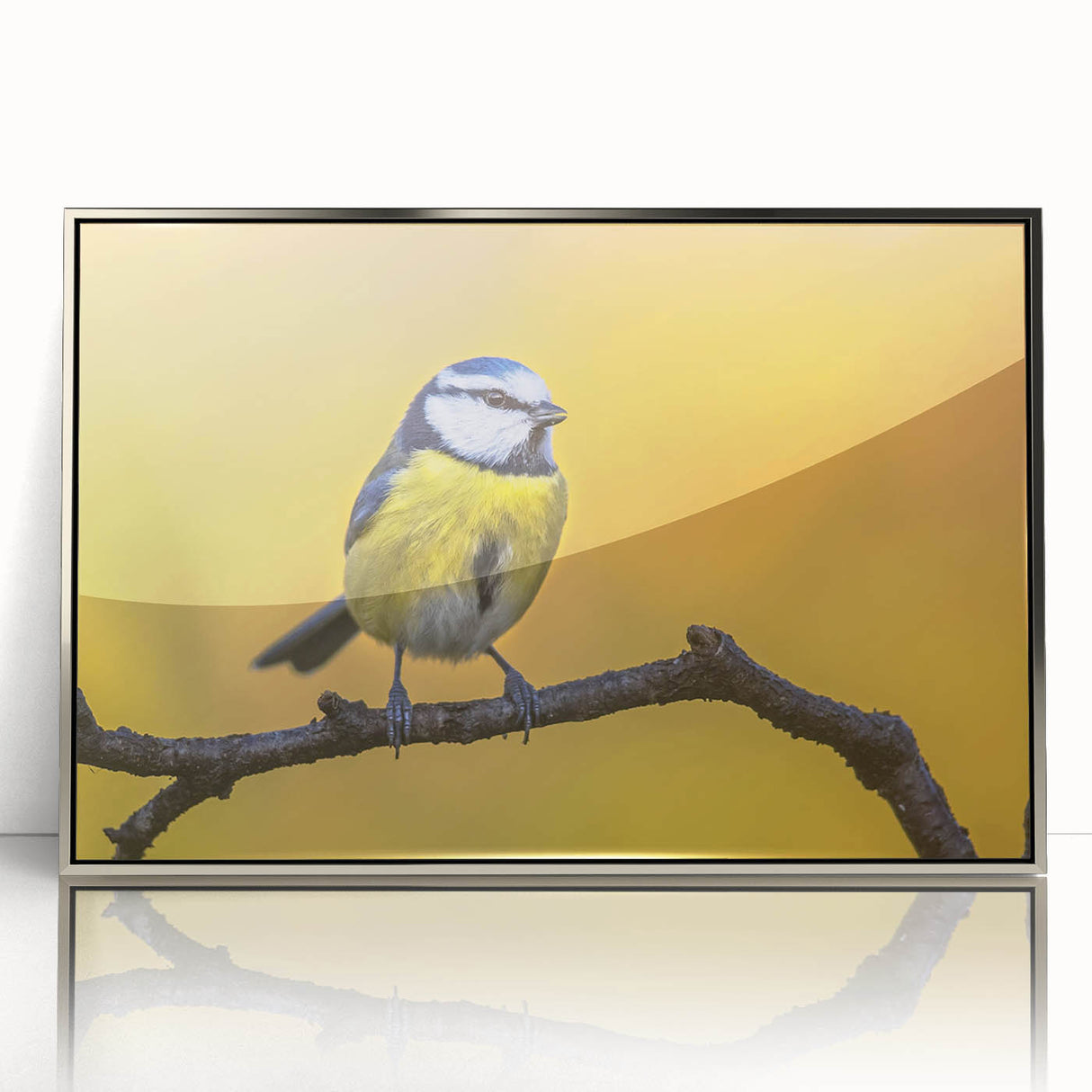 Framed wall art design featuring colorful garden birds in a lush setting, accented with a silver frame, perfect for home decor and nature enthusiasts.
