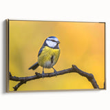 Framed canvas wall art showcasing a vibrant garden bird design, featuring intricate details and a gold frame, ideal for enhancing home decor with nature-inspired aesthetics.