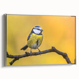 Framed canvas wall art showcasing a collection of colorful garden birds with intricate designs, set against a silver frame, perfect for home decor.