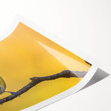 Colorful wall art print showcasing various garden birds in a vibrant design, rolled and ready for display, perfect for nature enthusiasts and home decor.