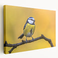 Stretched canvas artwork showcasing a vibrant garden scene with colorful birds perched among lush greenery, ideal for enhancing home decor and creating a serene atmosphere.