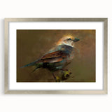 Framed wall art collection showcasing colorful garden birds, featuring a silver frame and matting, perfect for home decor enthusiasts seeking nature-inspired design.